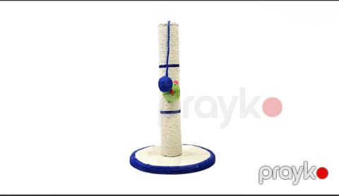 Dırnaq itiləyən 71992763 — Bakı