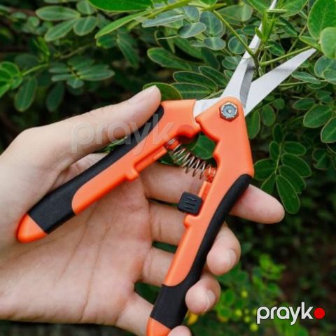 Bağban qayçıları və doğrayıcıları Gül Qayçısı YJ1043 PH190 - prm_014 — Bakı