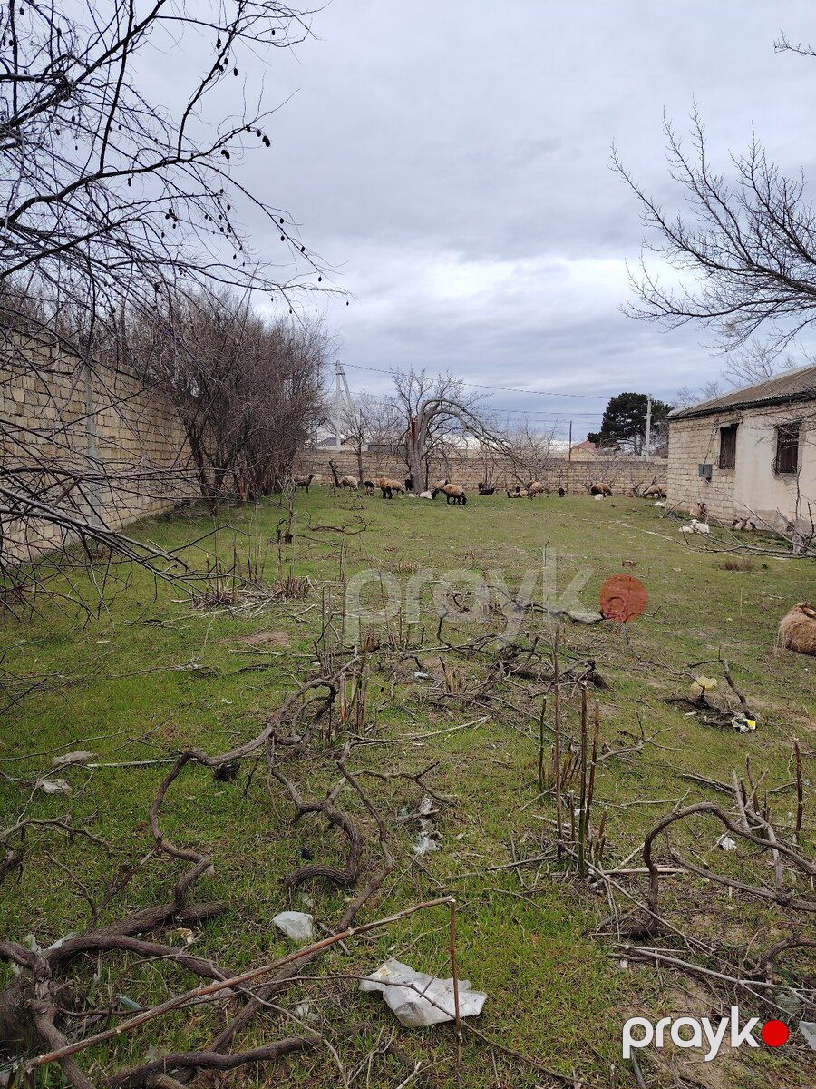 Bağ evi, Novaxanı qəs — Ev, villa, Bakı (11)