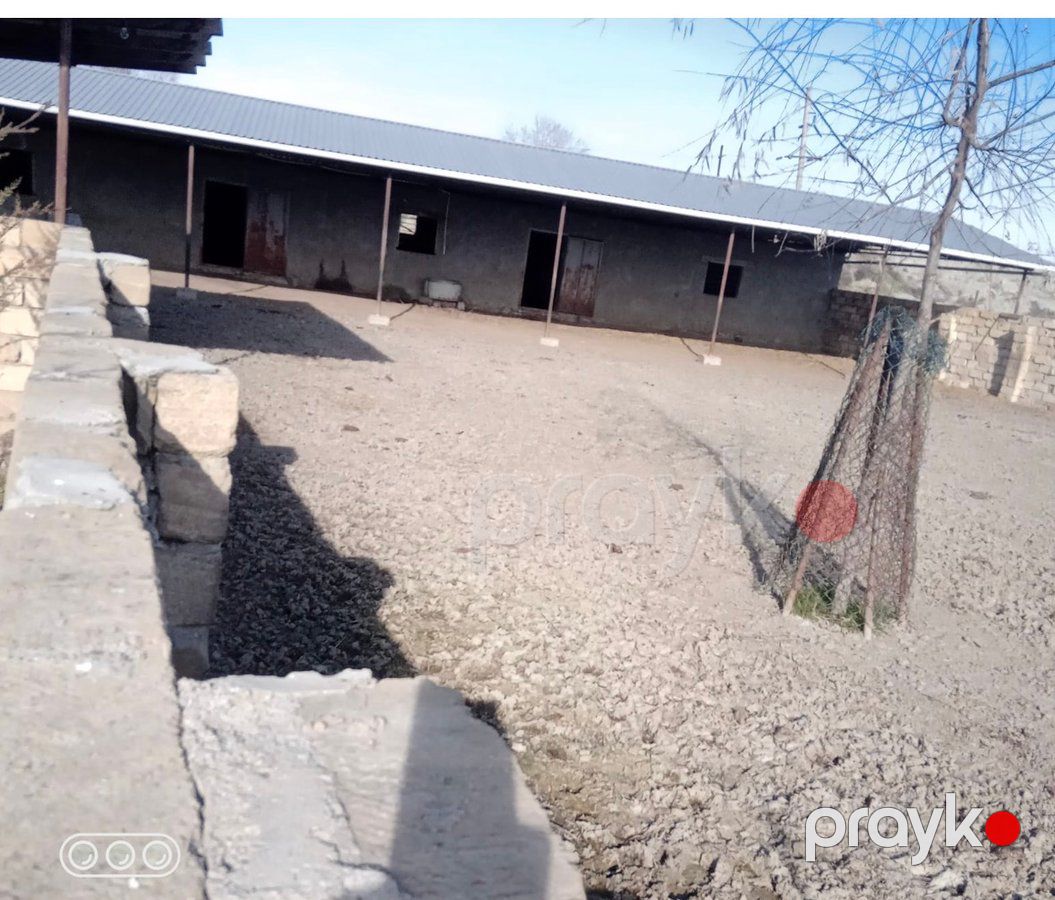İstehsalat, 1000 m², Yeni Uluxanlı kəndi, Salyan — Daşınmaz əmlak, Salyan (7)