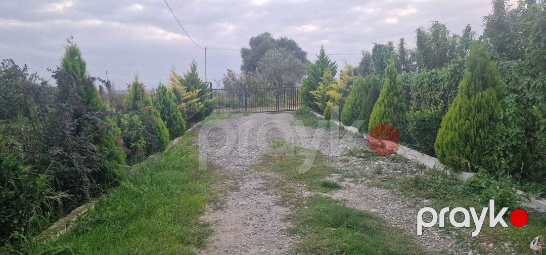 Satılır torpaq 1100 sot — Torpaq, Xaçmaz (6)