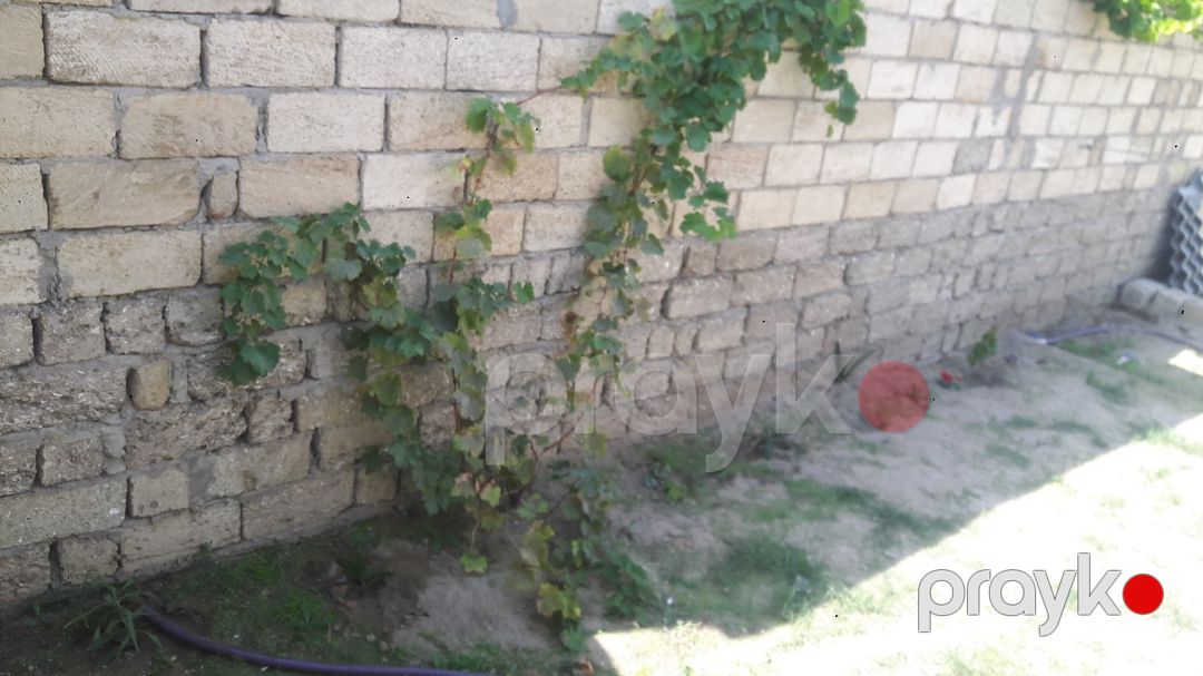 Satılır 3 otaqlı həyət evi/bağ evi 58 m² — Ev, villa, Bakı (7)