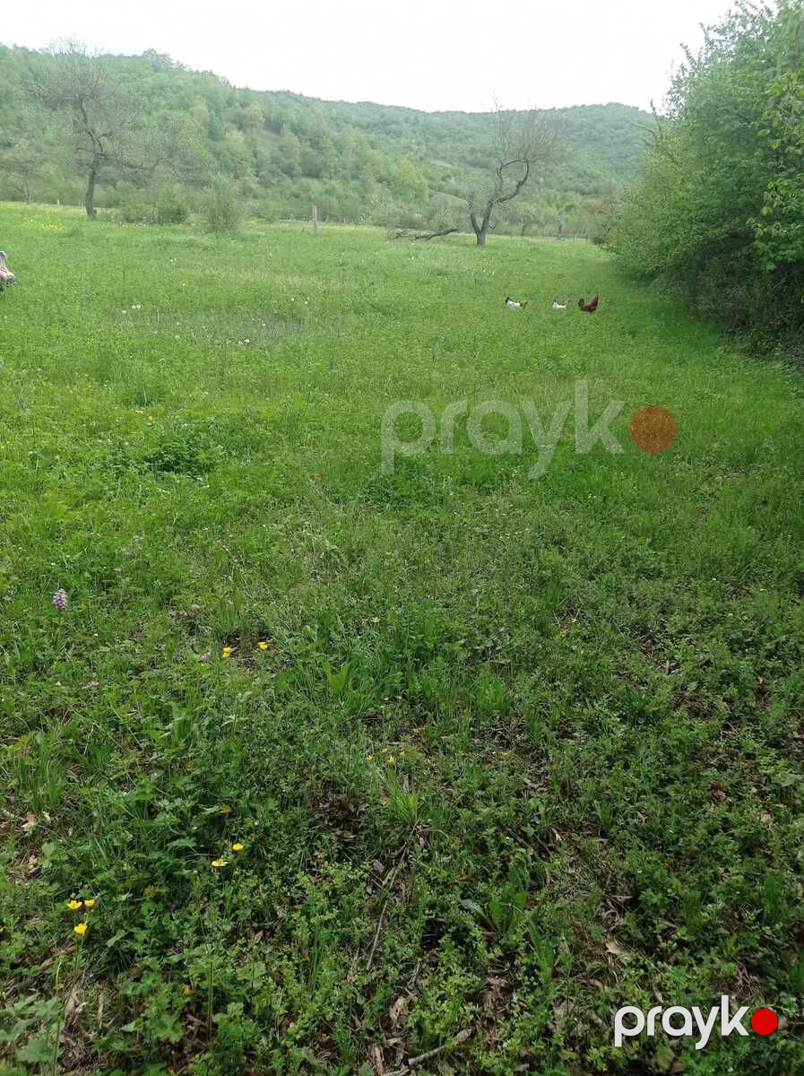 14 sot torpaq sahəsi, Quba r — Torpaq, Quba (4)