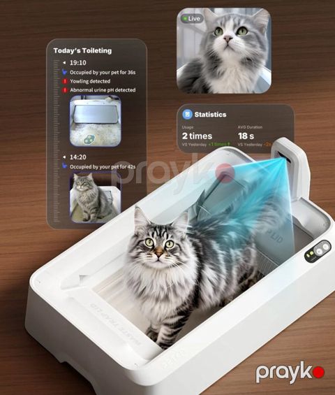 Petkit Purobot Crystal Duo With Camera (P9905) – Ağıllı Özünü Təmizləyən Pişik Tualeti — Bakı
