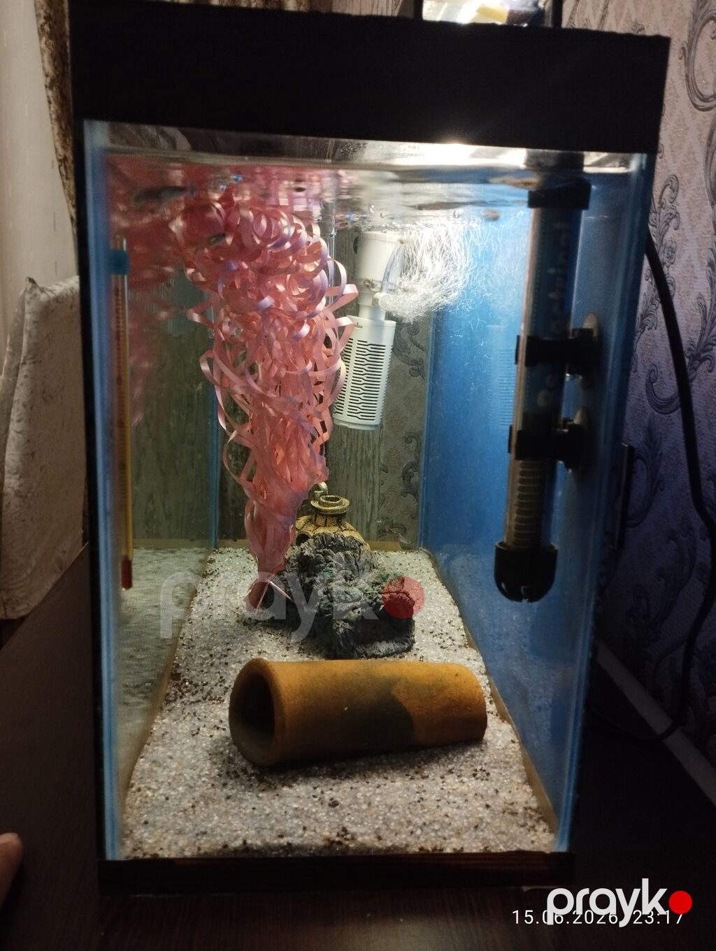Dördbucaq akvarium, Balıqlarla birlikdə, 40 l, Ünvandan götürmə — Akvariumlar və balıqlar, Qobu (4)