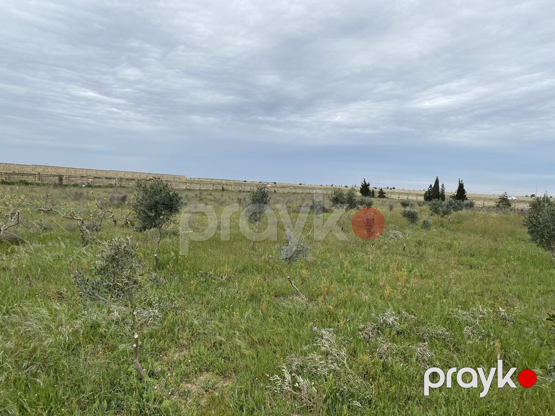Satılır torpaq 30 sot — Torpaq, Bakı (4)