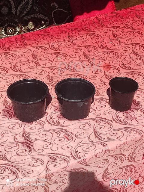 Məhsul: Fidan və çiçək üçün plastik qablər.dibçekler. 1 -25 qepik — Digah