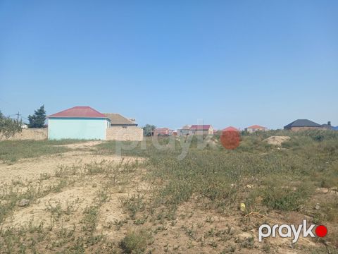 8 sot, Tikinti, Kupça (Çıxarış) — Digah