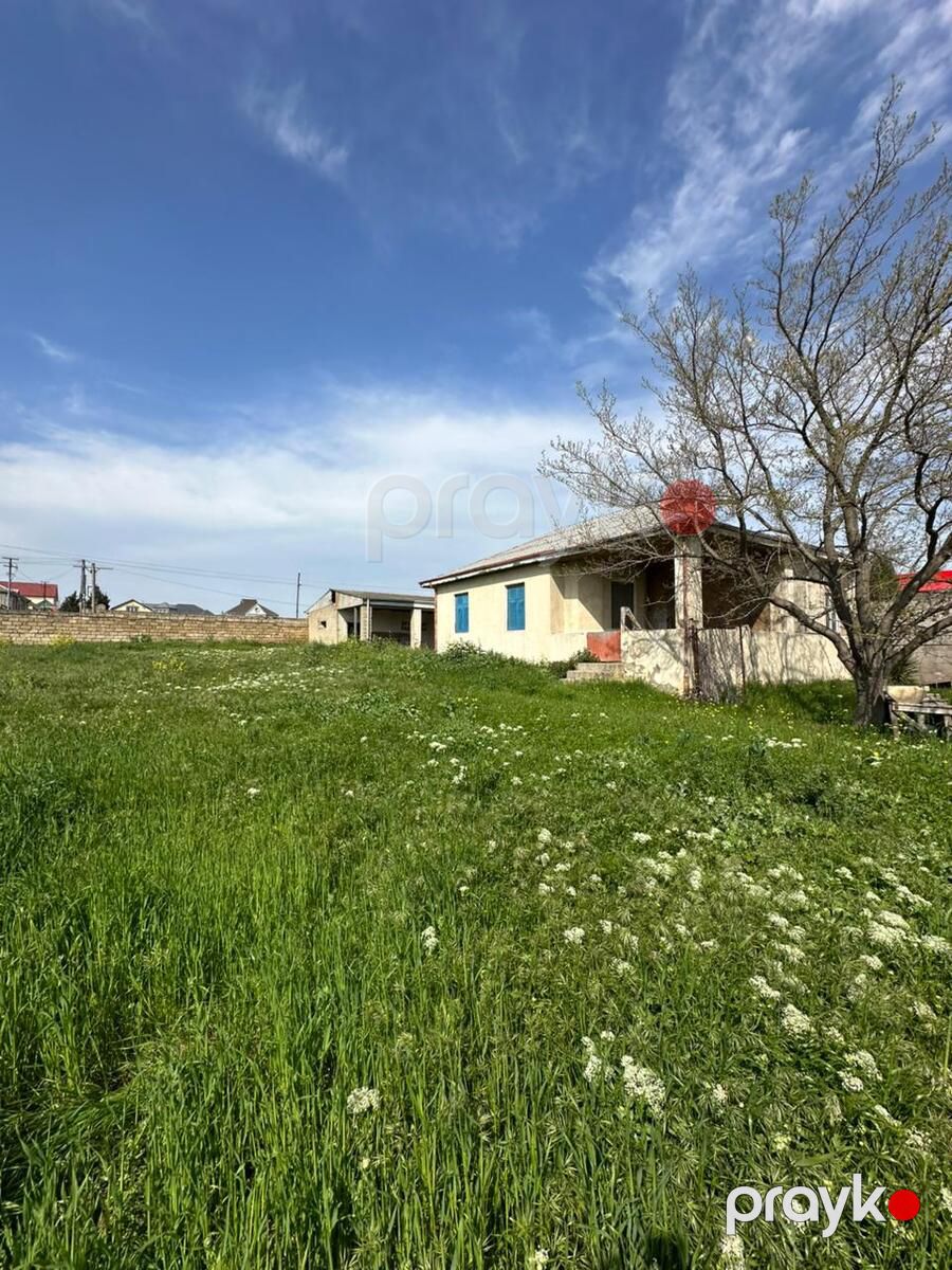 Satılır torpaq 33 sot — Torpaq, Bakı (4)