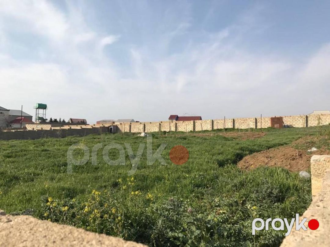Satılır torpaq 24 sot — Torpaq, Bakı (11)