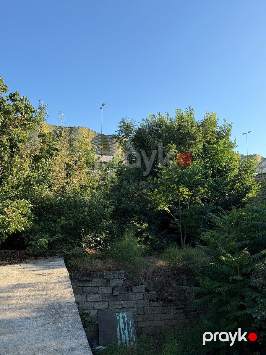 Satılır torpaq 10 sot — Torpaq, Bakı (9)