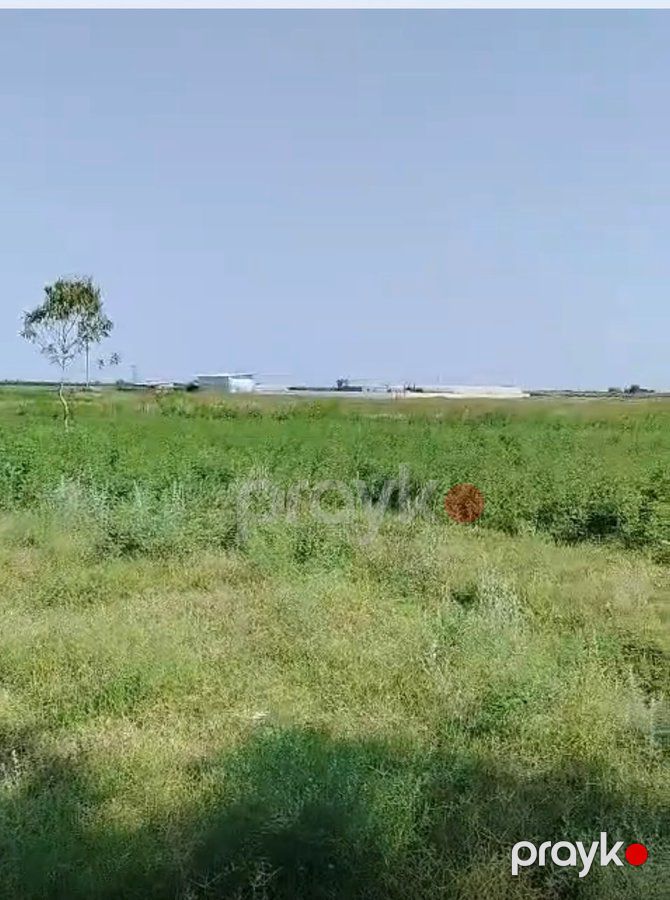 İstehsalat, 1000 m², Yeni Uluxanlı kəndi, Salyan — Daşınmaz əmlak, Salyan (10)