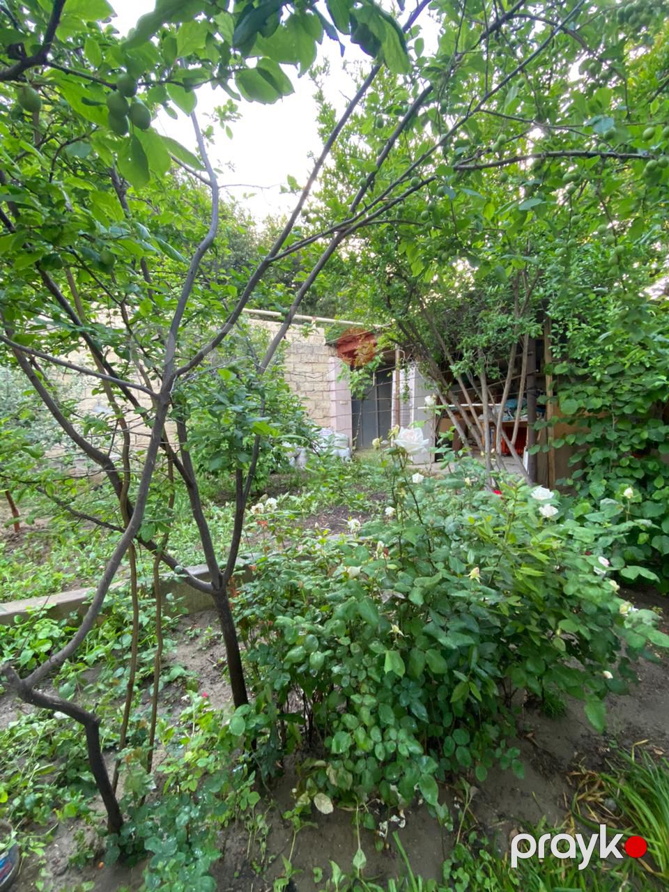 Satış: 3 otaqlı Ev / villa, 70 m², Binəqədi rayonu — Ev, villa, Bakı (8)