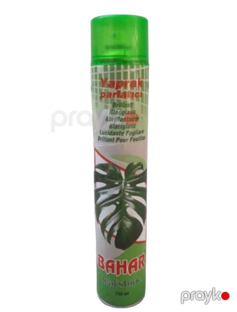 Vasitə yarpaq parıltısı üçün Oazis Bahar 750 ml — Bakı