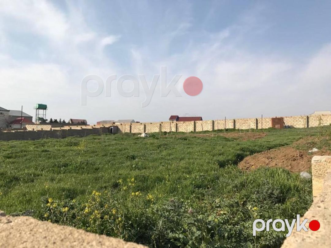 Satılır torpaq 24 sot — Torpaq, Bakı (4)