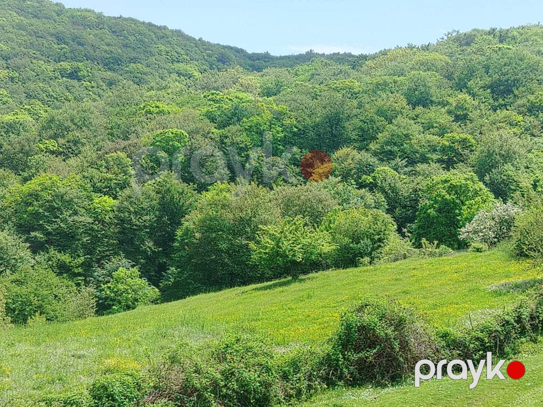 Satılır torpaq 7 sot — Torpaq, İsmayıllı (2)