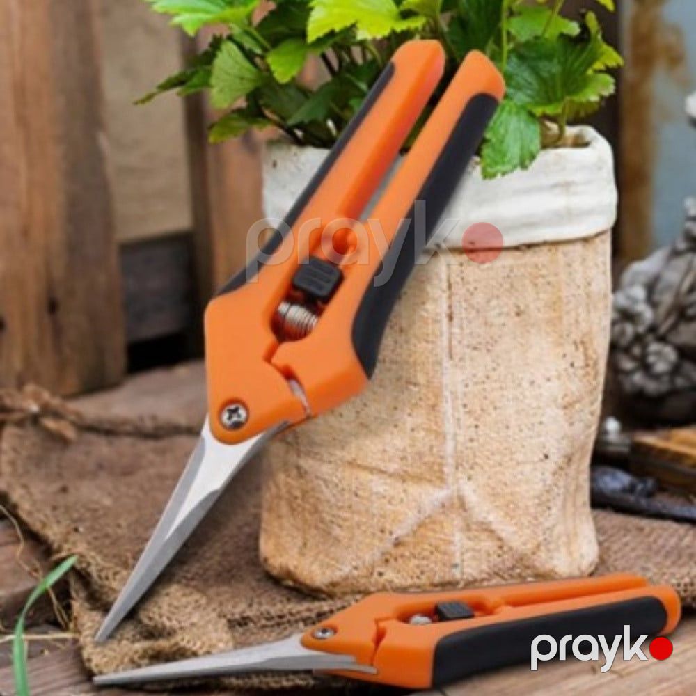 Bağban qayçıları və doğrayıcıları Gül Qayçısı YJ1043 PH190 - prm_014 — Mallar, Bakı (2)
