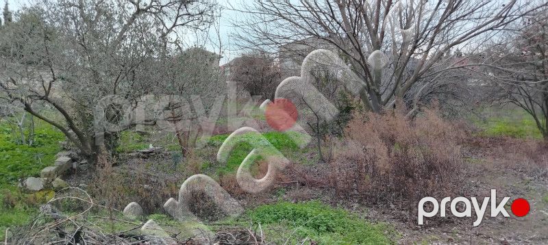 3 sot Torpaq, Satış, Bakı, Xətai — Torpaq, Bakı (2)