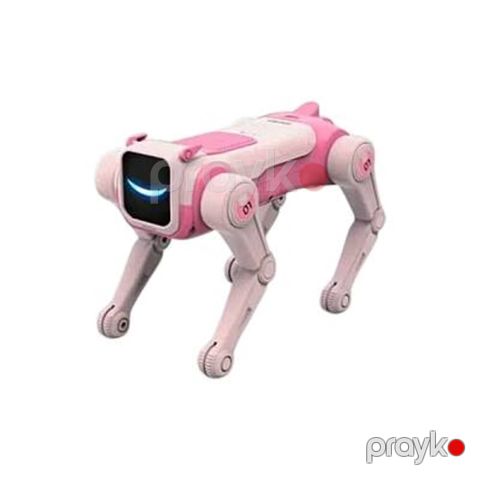 Radio ilə idarə olunan interaktiv robot 753-2, 5+ yaş, çəhrayı — Bakı