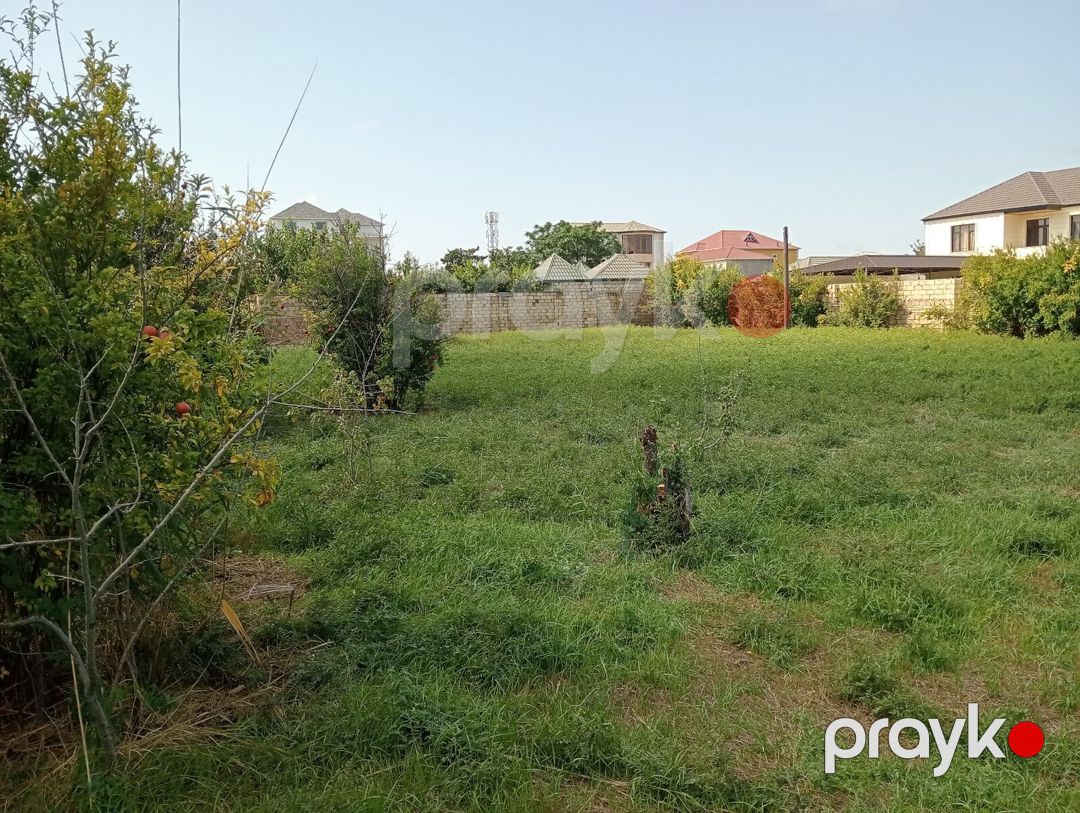 7 sot torpaq sahəsi, Novxanı qəs — Torpaq, Bakı (6)