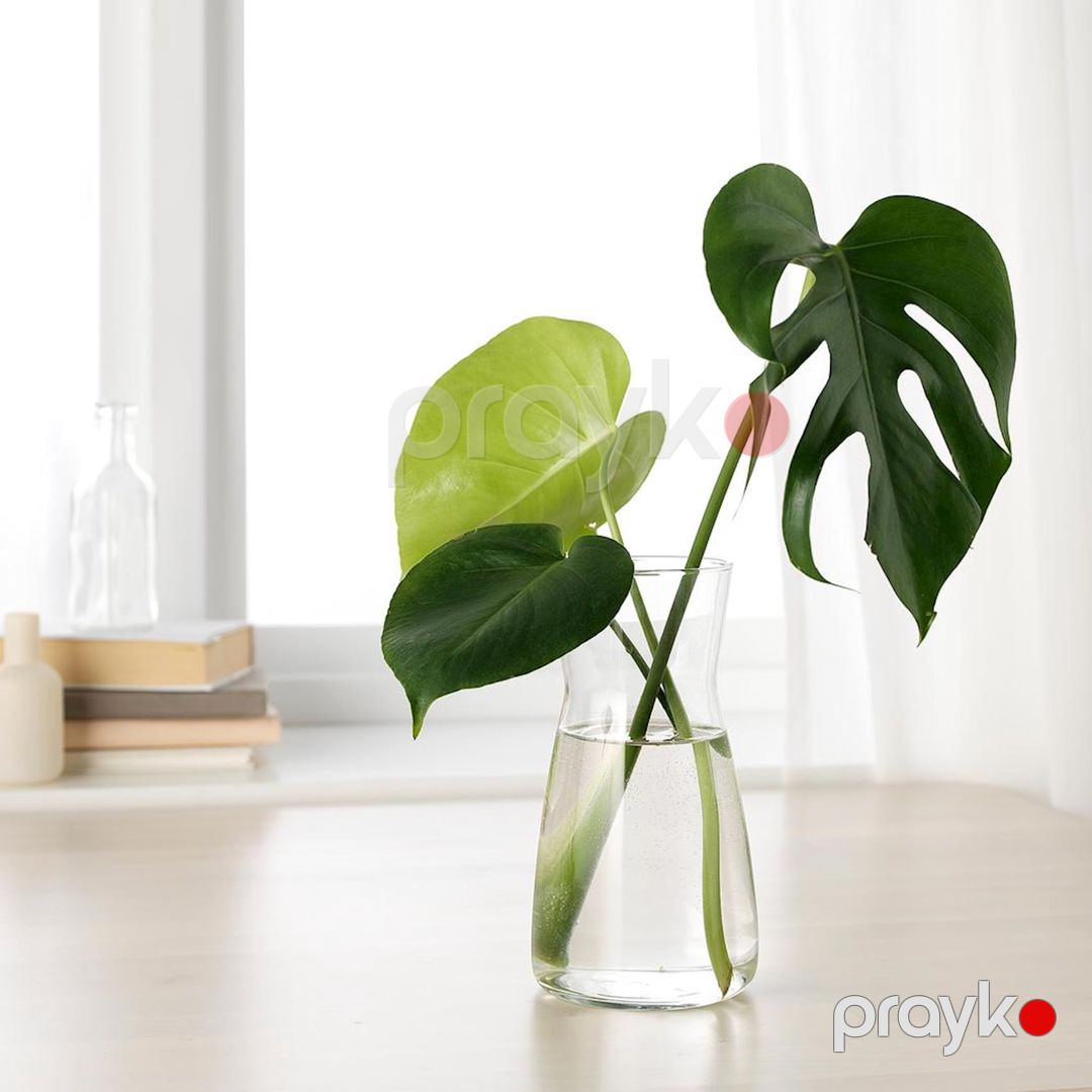 Qrafin IKEA Karaff 1 l, şəffaf şüşə — Mallar, Bakı (3)