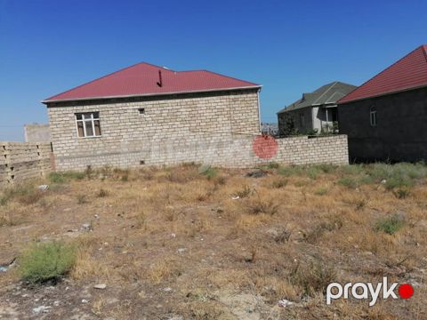 Satılır torpaq, Saray qəs