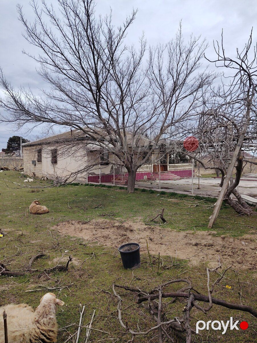 Bağ evi, Novaxanı qəs — Ev, villa, Bakı (12)