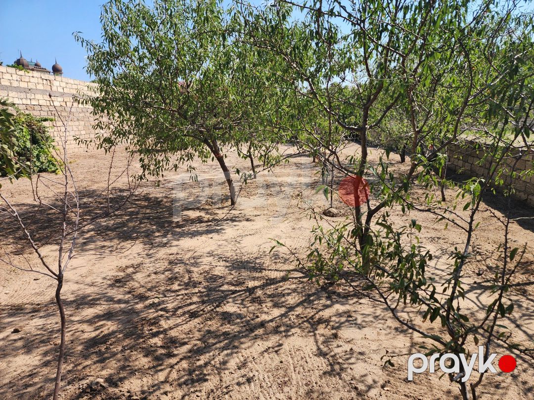 Satılır torpaq 6 sot — Torpaq, Bakı (3)