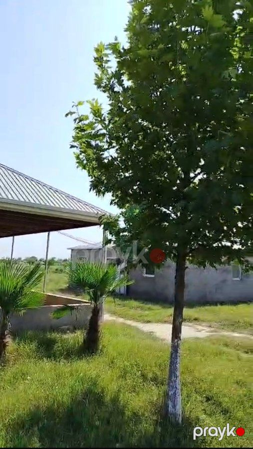 İstehsalat, 1000 m², Yeni Uluxanlı kəndi, Salyan — Daşınmaz əmlak, Salyan (12)