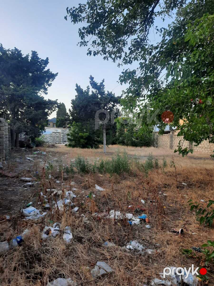 Satılır torpaq 8 sot — Torpaq, Bakı (4)