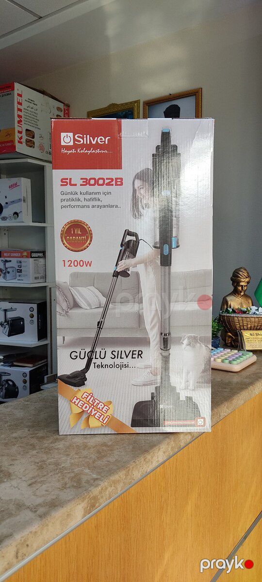 Tozsoran Silver — Ev texnikası, Bakı (4)