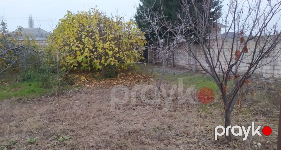Satılır torpaq 10 sot — Torpaq, Şabran (4)