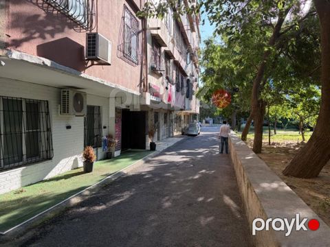 İcarəyə verilir obyekt 42 m² — Bakı