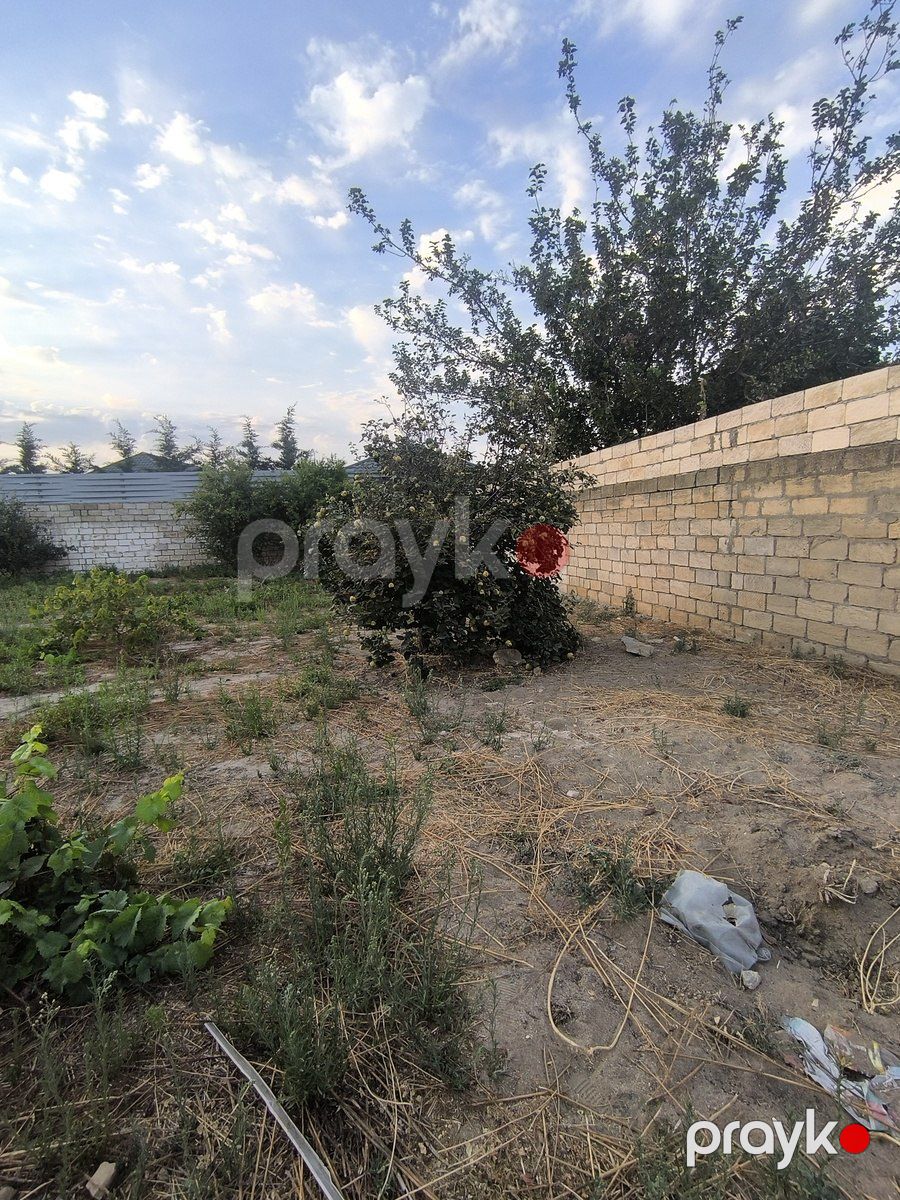 Satılır torpaq 4 sot — Torpaq, Bakı (8)