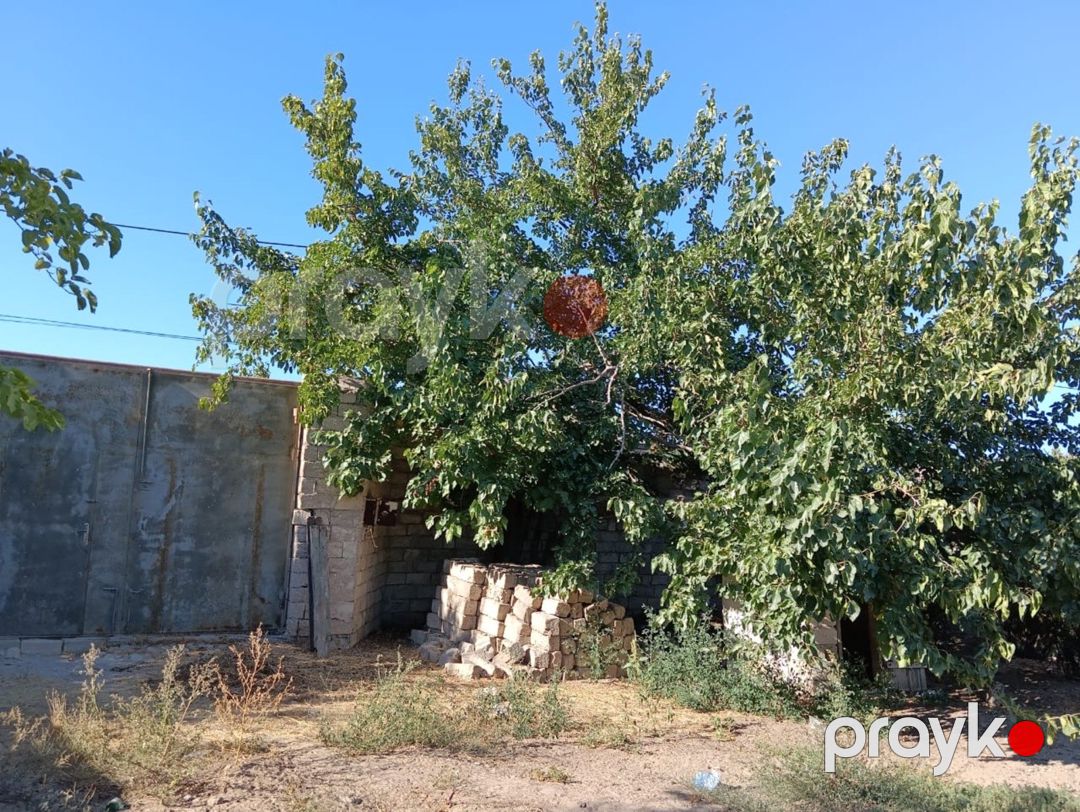 Satılır torpaq 20 sot — Torpaq, Bakı (6)