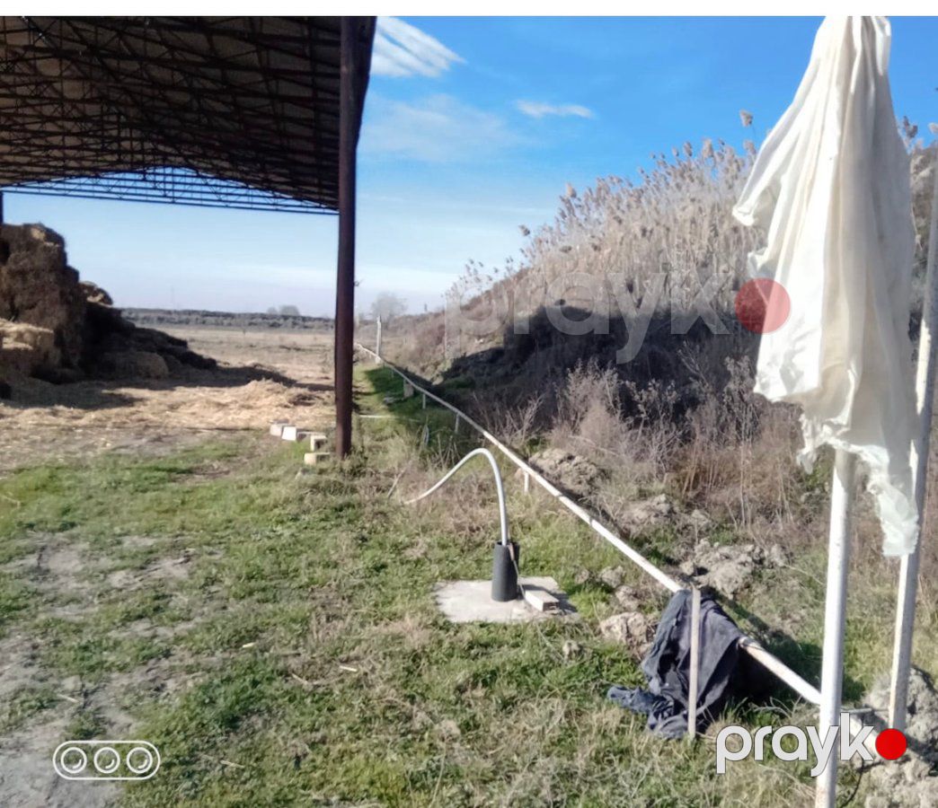 İstehsalat, 1000 m², Yeni Uluxanlı kəndi, Salyan — Daşınmaz əmlak, Salyan (4)