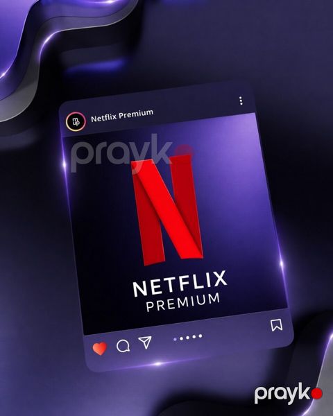 Netflix Premium 4K — Bakı