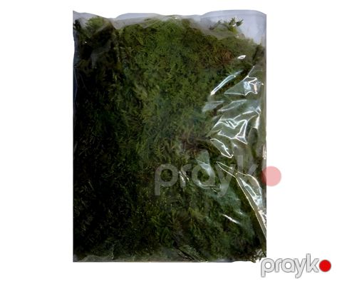 Mamır Oazis 145 q — Bakı