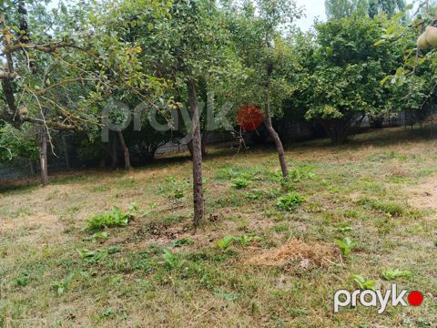 5 sot torpaq sahəsi, İsmayıllı r — İsmayıllı