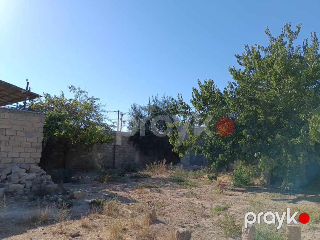 Satılır torpaq 20 sot — Torpaq, Bakı (7)