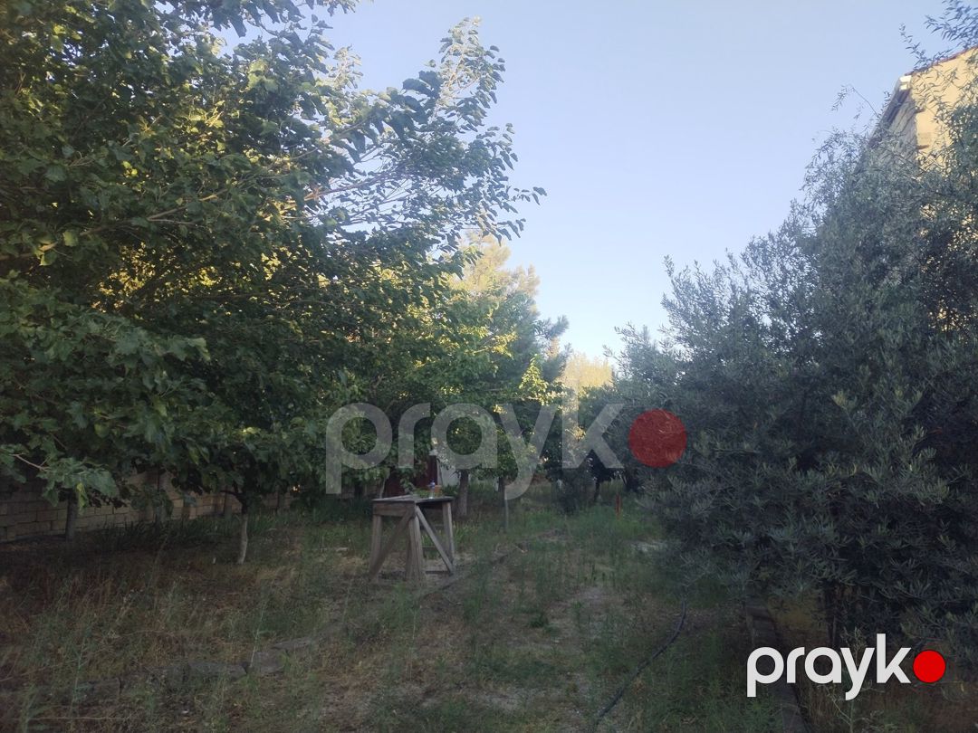 Satılır torpaq 6 sot — Torpaq, Bakı (2)
