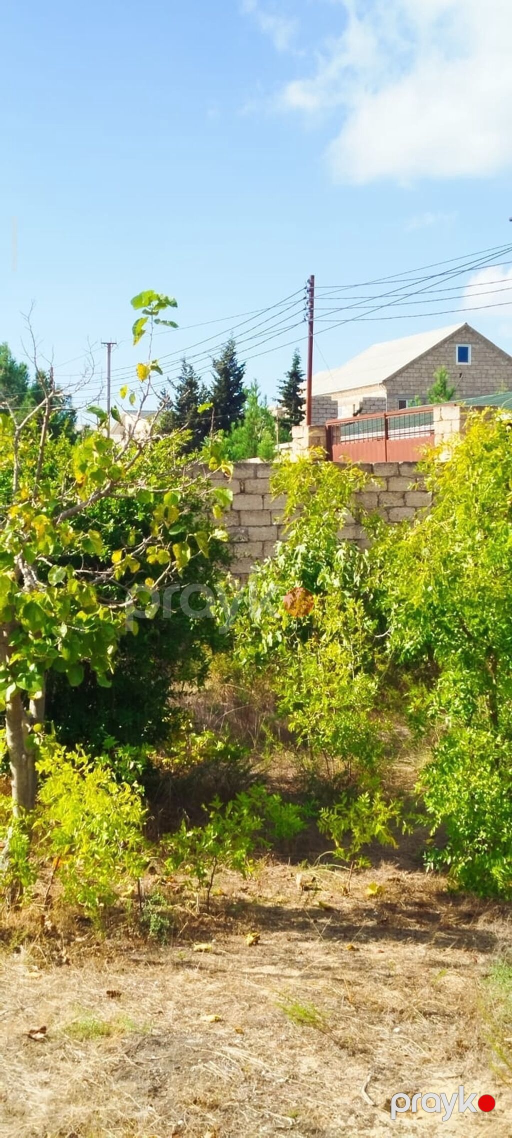 5 sot, Tikinti — Torpaq, Bakı (3)