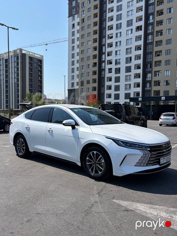 BYD Destroyer 05, 1.5 L, 8.3 kWh, 2025 il, 81 000 km — Avtomobillər, Bakı (7)