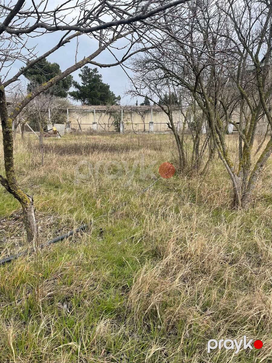 Satılır 5 otaqlı həyət evi/bağ evi 200 m² — Ev, villa, Bakı (9)