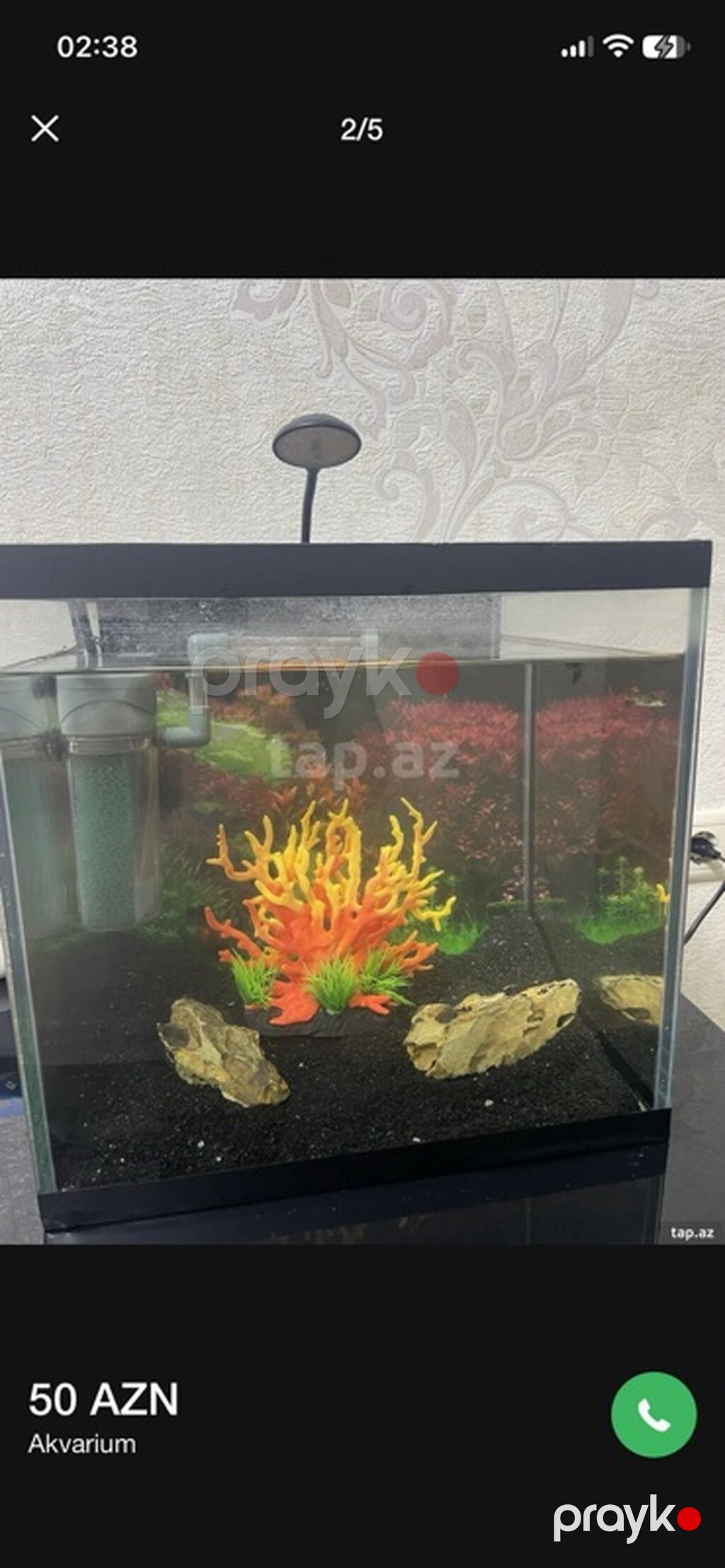 Dördbucaq akvarium, Balıqlarla birlikdə, 27 l — Akvariumlar və balıqlar, Bakı (5)