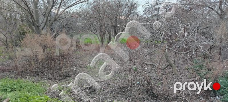 3 sot Torpaq, Satış, Bakı, Xətai — Torpaq, Bakı (7)