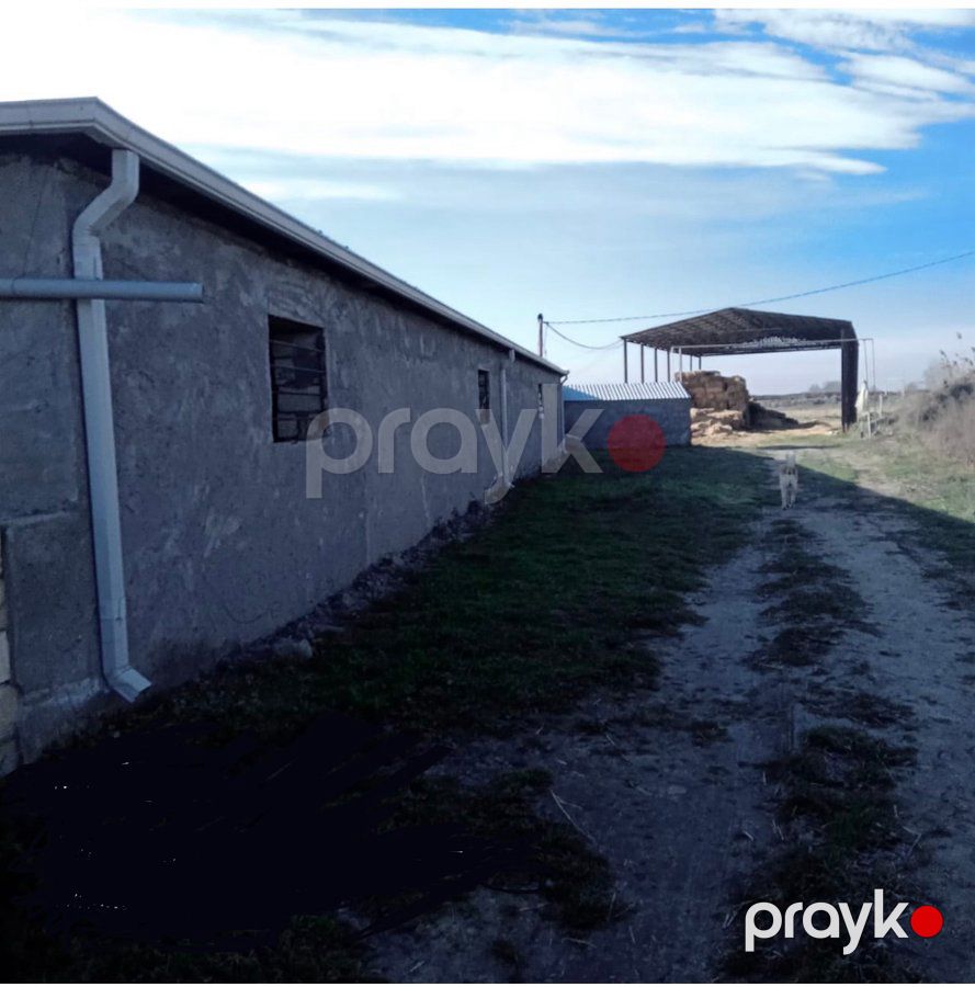 İstehsalat, 1000 m², Yeni Uluxanlı kəndi, Salyan — Daşınmaz əmlak, Salyan (3)
