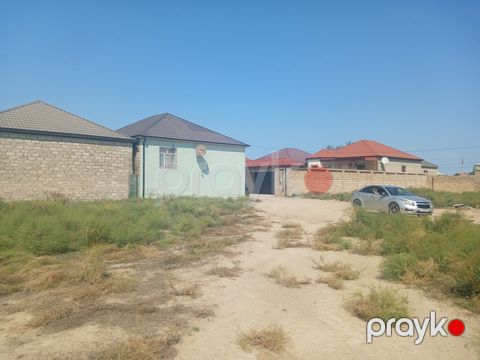 4 sot, Kənd təsərrüfatı, Mülkiyyətçi, Kupça (Çıxarış) — Digah