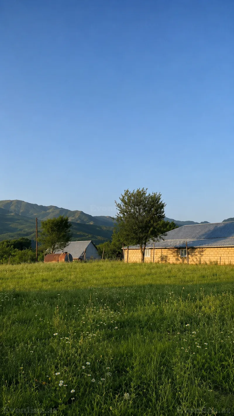 Satılır Torpaq 50 sot İsmayıllı — Torpaq, İsmayıllı (2)