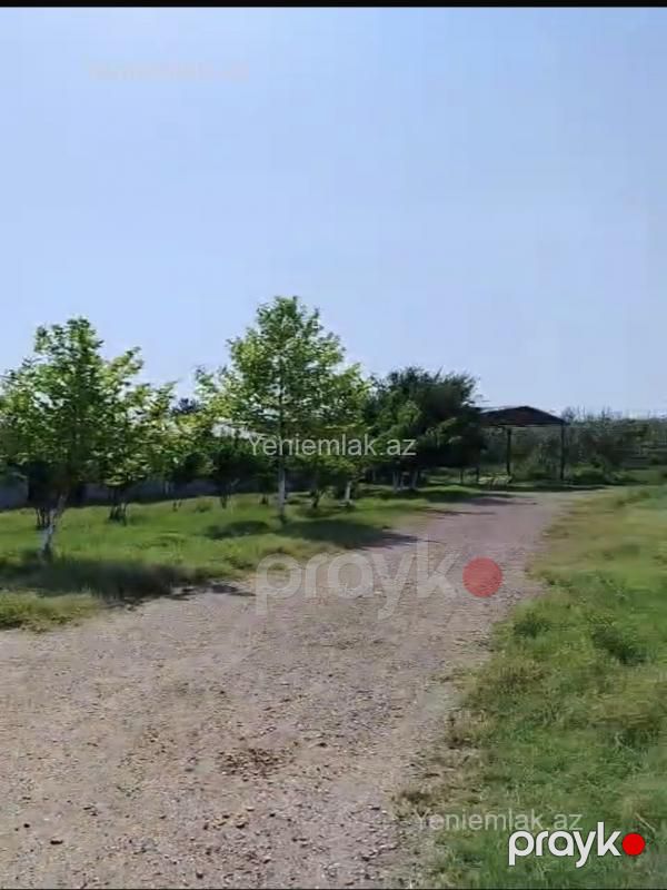 Satılır 10 otaqlı Obyekt, 1000 m², Salyan — Əmlak, Salyan (8)